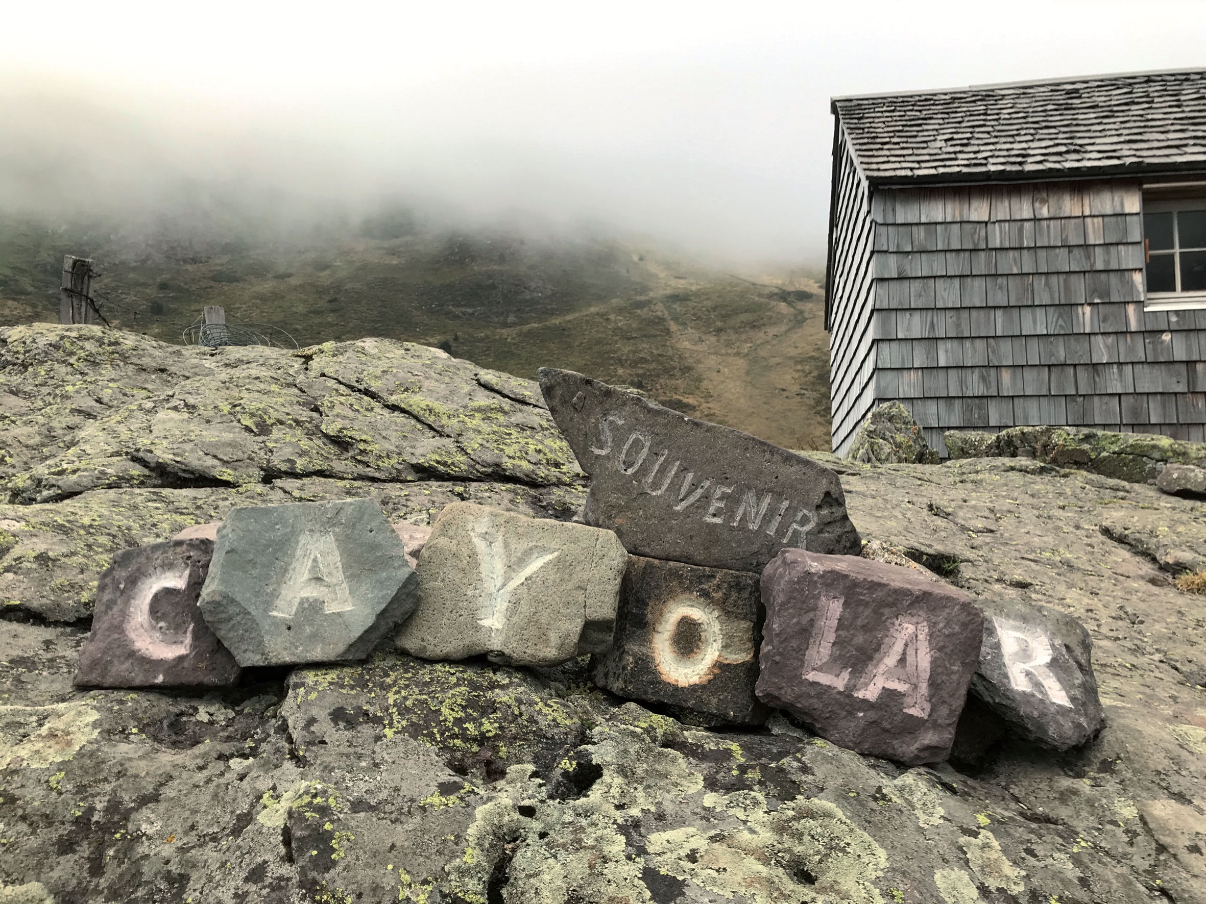 Cayolar 2020