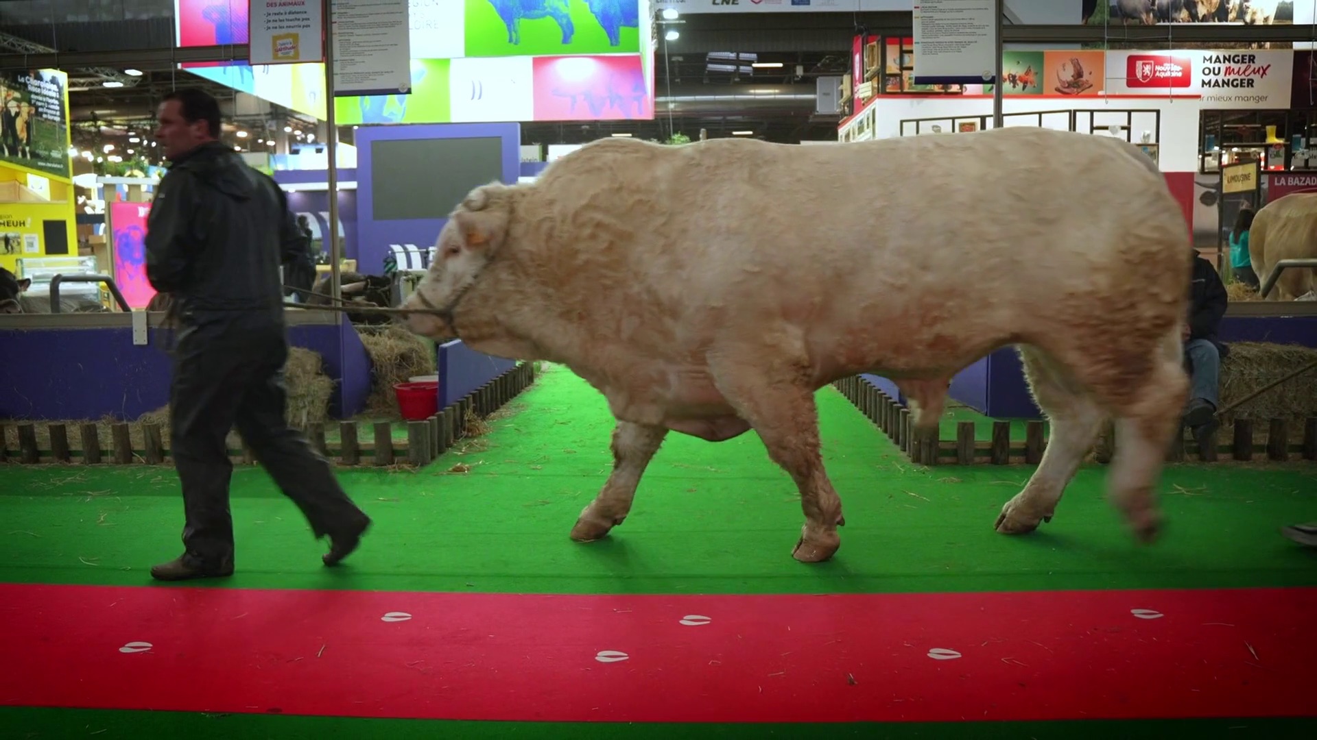 Vidéo : Salon de l'Agriculture 2024